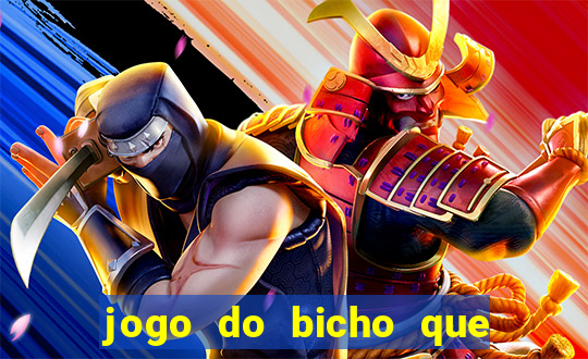 jogo do bicho que paga no pix